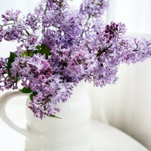 Lilac