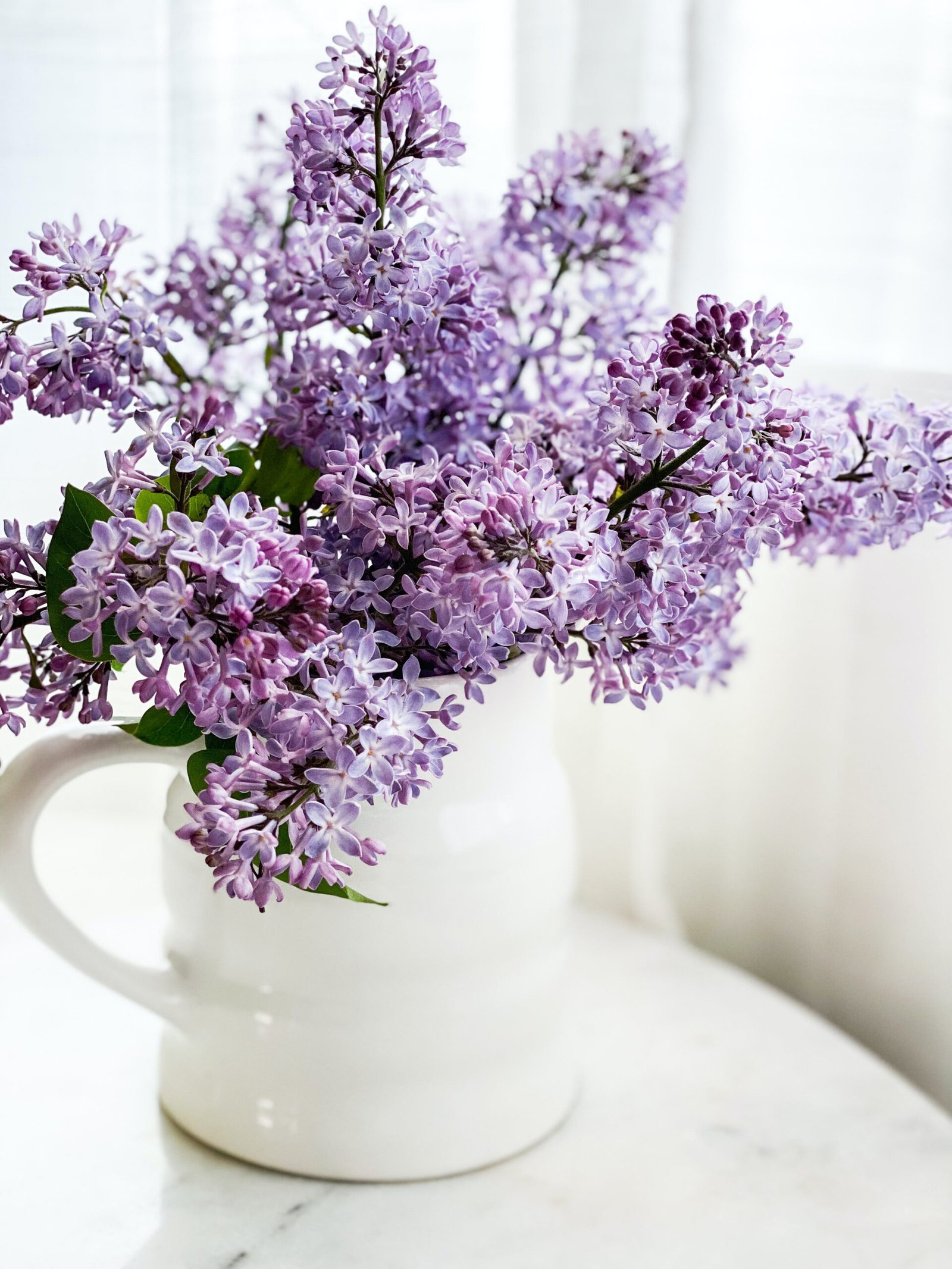 Lilac